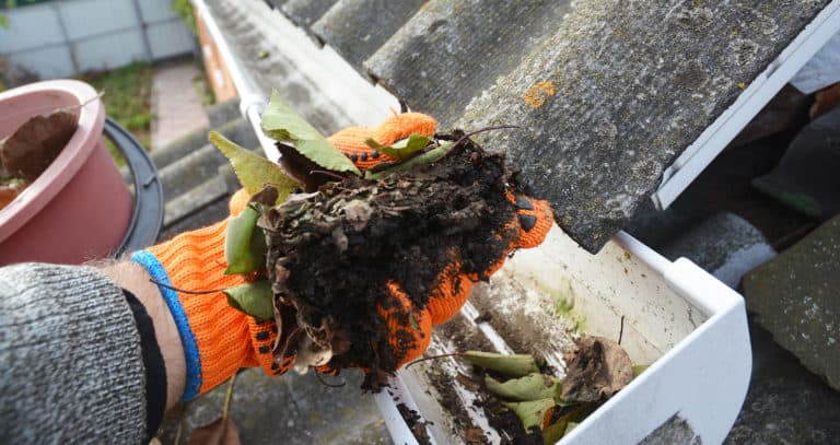 Cleaning Rain Gutters