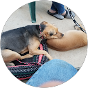 John Nordbye profile picture