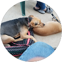 John Nordbye profile picture